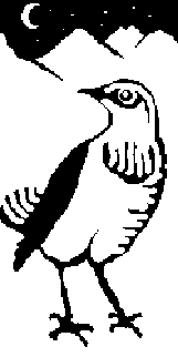 Vertikal Metaverse Team picture form 500K collection