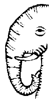 Vertikal Metaverse Team picture form 500K collection